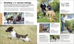 The Beginner s Dog Training Guide: How to Train a Superdog, Step by Step Fashion