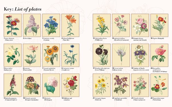 Glorious Flowers Colouring Online Hot Sale