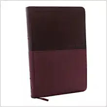 The Holy Bible - New King James Version, Burgundy Leathersoft Thinline Bible, Red Letter Edition  (LEA LRG) Online