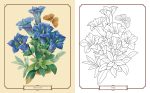 Glorious Flowers Colouring Online Hot Sale