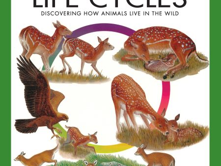 Animal Life Cycles Hot on Sale