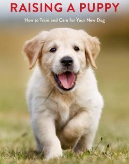 The Ultimate Guide To Raisinga Puppy Online Sale