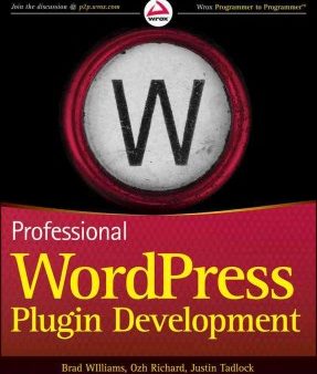 PROFESSIONAL WORDPRESS PLUGINDEVELOPMENT For Cheap