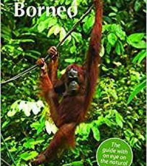 Blue Skies Travel Guide: Borneo Online now