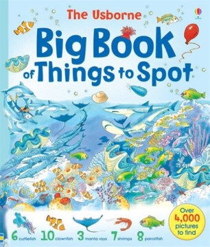 USBORNE BIG BOOK OF THINGS TOSPOT Online