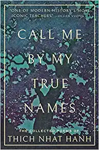 Call Me By My True Names : The Collected Poems of Thich Nhat Hanh on Sale