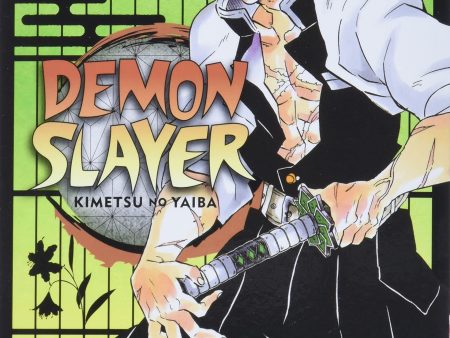 DEMON SLAYER KIMETSU NO YAIBA #17 Discount