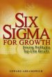 SIX SIGMA FOR GROWTH Online Hot Sale