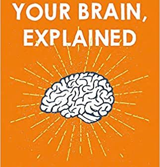 Your Brain, Explained : What Neuroscience Reveals About Your Brain and its Quirks Online Sale