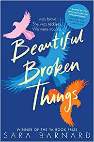 Beautiful Broken Things Online Hot Sale