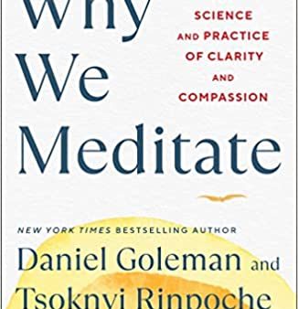 Why We Meditate: The Science and Practice of Clarity and Compassion Online Sale