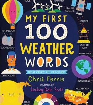 My First 100 Weather Words   (BRDBK) Hot on Sale